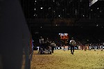 Extreme - 00825